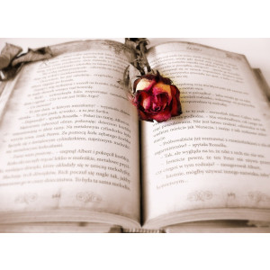 뉴웰턴 특안식 다이어리(겨울)